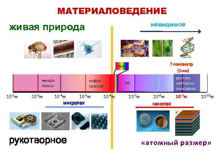 МАТЕРИАЛОВЕДЕНИЕ невидимое живая природа 1 нанометр свет 1 cm 1 mm микроволны 10 -2
