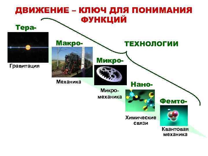 ДВИЖЕНИЕ – КЛЮЧ ДЛЯ ПОНИМАНИЯ ФУНКЦИЙ Тера- Макро- ТЕХНОЛОГИИ Микро- Гравитация Механика Микромеханика Нано.