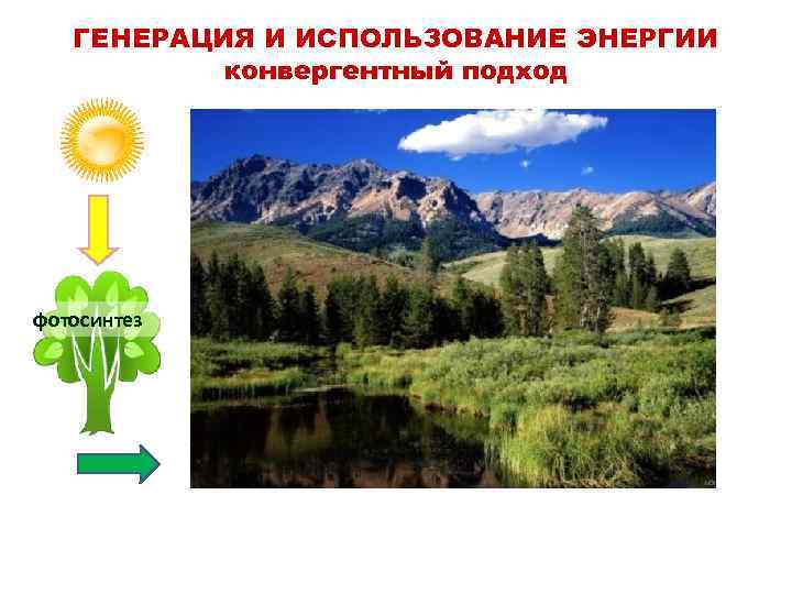 ГЕНЕРАЦИЯ И ИСПОЛЬЗОВАНИЕ ЭНЕРГИИ конвергентный подход фотосинтез 