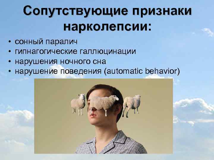 Сопутствующие признаки нарколепсии: • • сонный паралич гипнагогические галлюцинации нарушения ночного сна нарушение поведения