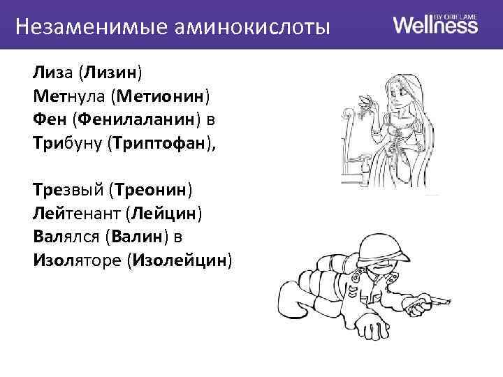 Незаменимые аминокислоты Лиза (Лизин) Метнула (Метионин) Фен (Фенилаланин) в Трибуну (Триптофан), Трезвый (Треонин) Лейтенант