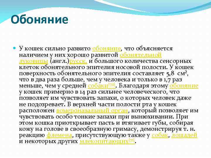 Объяснял наличие. Обоняние у кошек. Обоняние сильно развито. Обоняние у кошек и человека. Обоняние кошки по сравнению с человеком.