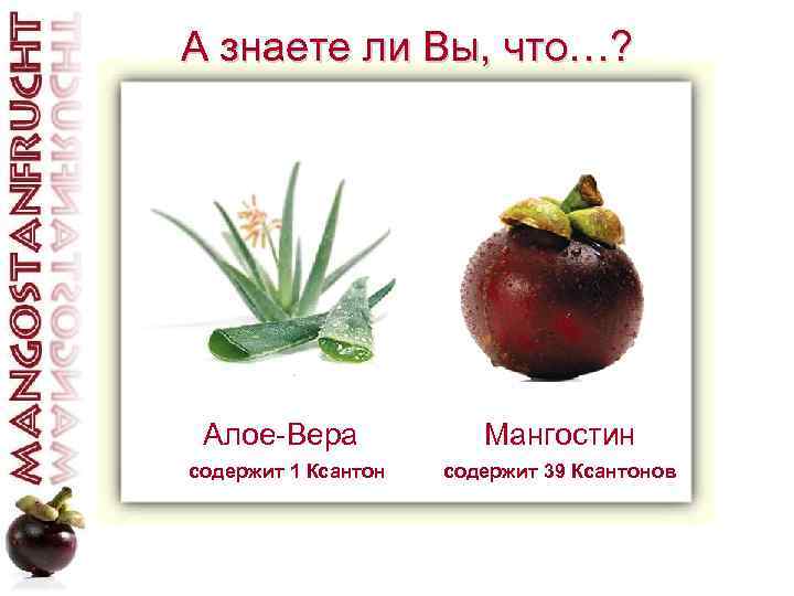 А знаете ли Вы, что…? Алое-Вера содержит 1 Ксантон Мангостин содержит 39 Ксантонов 