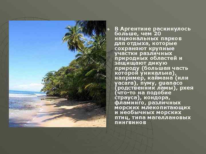 u В Аргентине раскинулось больше, чем 20 национальных парков для отдыха, которые сохраняют крупные