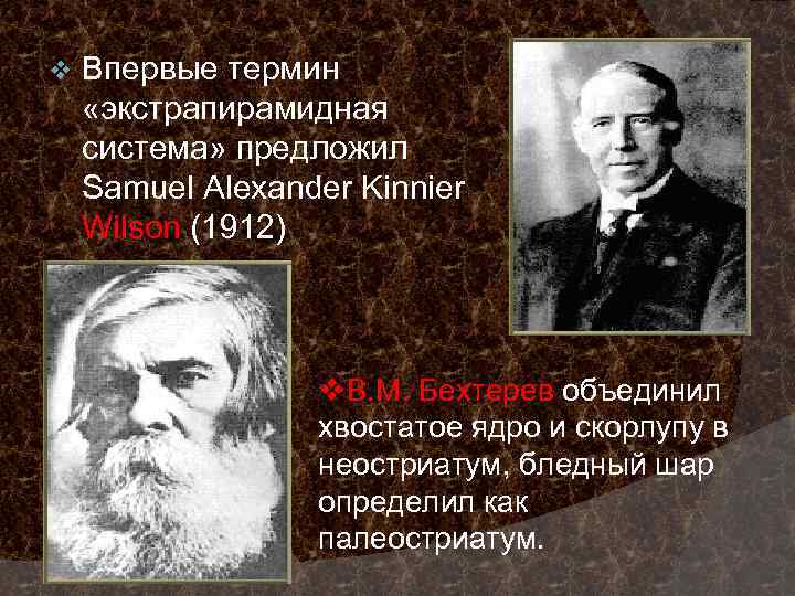 v Впервые термин «экстрапирамидная система» предложил Samuel Alexander Kinnier Wilson (1912) v. В. М.