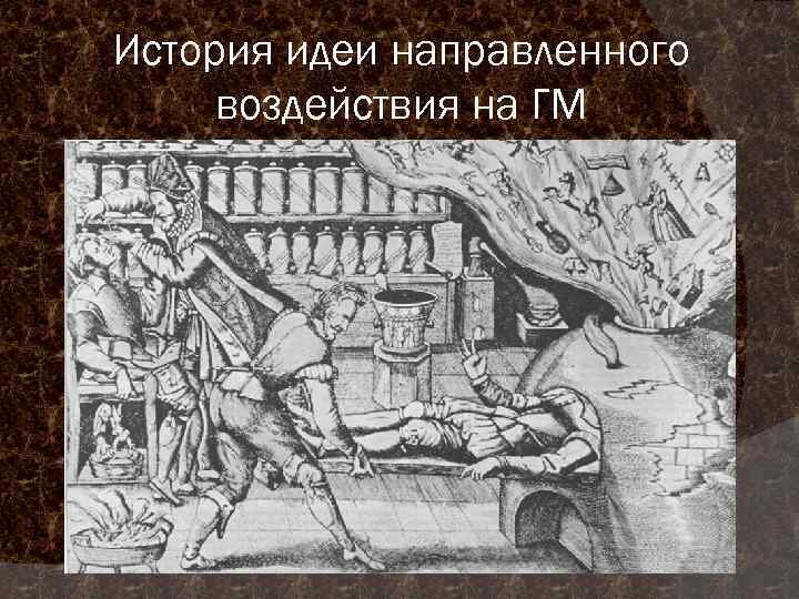 История идеи направленного воздействия на ГМ 