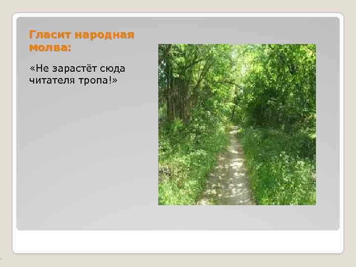 Гласит народная молва: «Не зарастёт сюда читателя тропа!» 