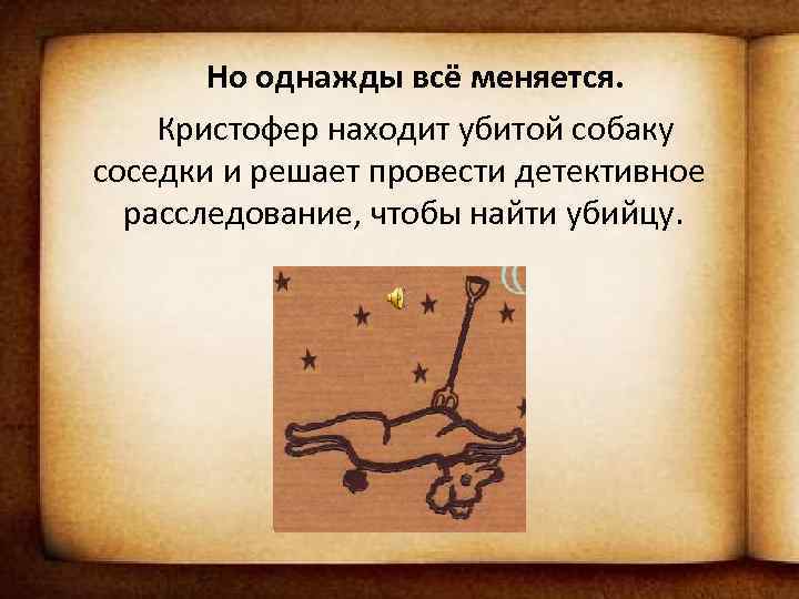 Но однажды всё меняется. Кристофер находит убитой собаку соседки и решает провести детективное расследование,