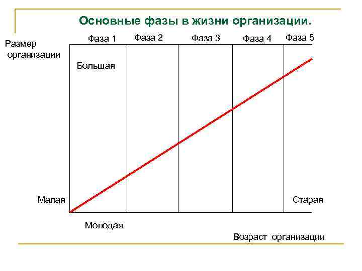 Основные фазы в жизни организации. Размер организации Фаза 1 Фаза 2 Фаза 3 Фаза