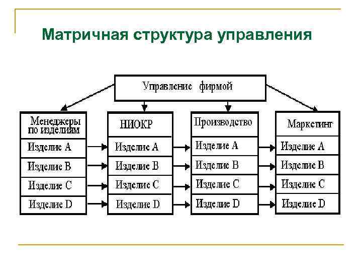 Матричная структура управления проектом