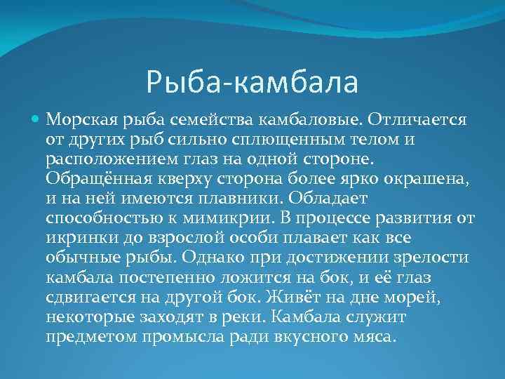 Рыба-камбала Морская рыба семейства камбаловые. Отличается от других рыб сильно сплющенным телом и расположением