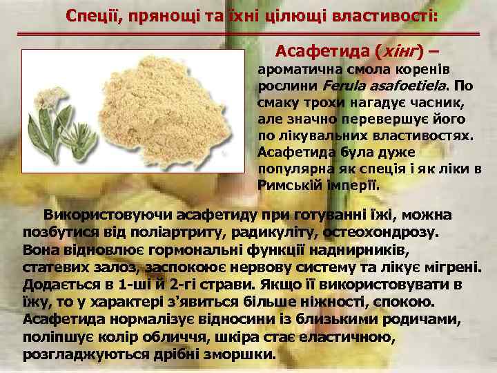 Спеції, прянощі та їхні цілющі властивості: Асафетида (хінг) – ароматична смола коренів рослини Ferula