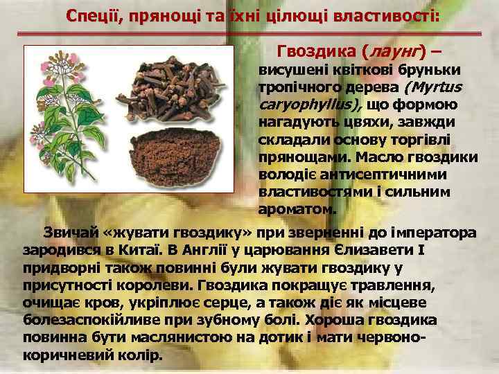 Спеції, прянощі та їхні цілющі властивості: Гвоздика (лаунг) – висушені квіткові бруньки тропічного дерева