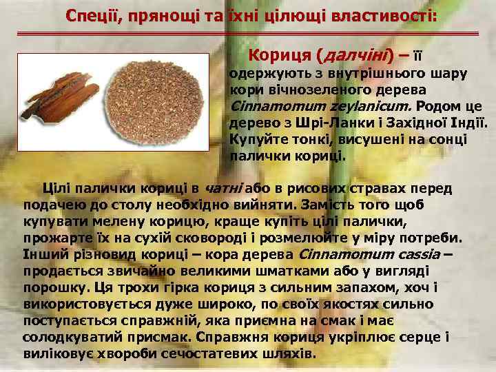 Спеції, прянощі та їхні цілющі властивості: Кориця (далчіні) – її одержують з внутрішнього шару