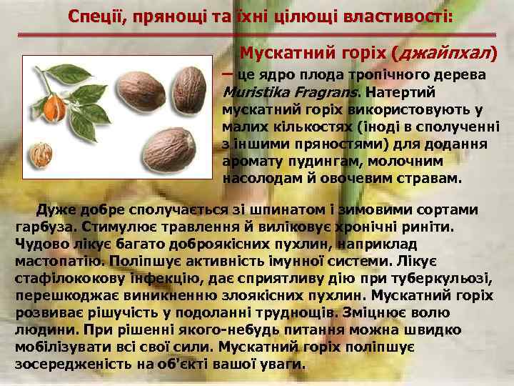 Спеції, прянощі та їхні цілющі властивості: Мускатний горіх (джайпхал) – це ядро плода тропічного
