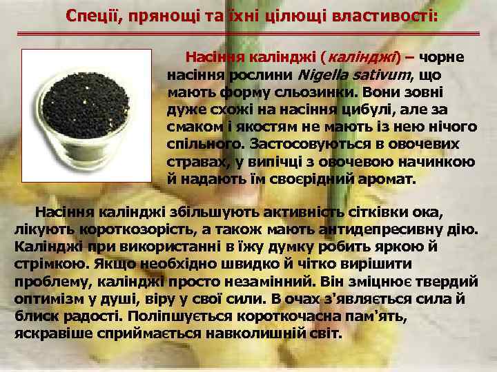 Спеції, прянощі та їхні цілющі властивості: Насіння калінджі (калінджі) – чорне насіння рослини Nigella