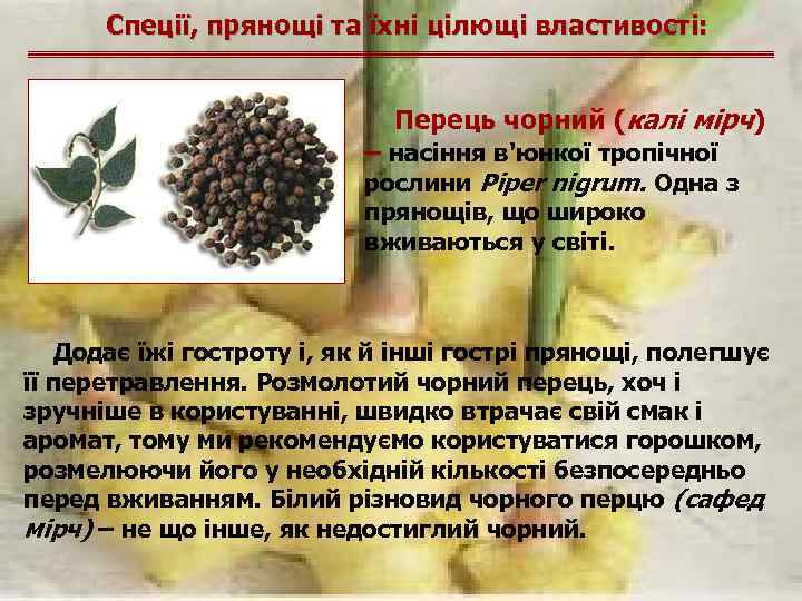 Спеції, прянощі та їхні цілющі властивості: Перець чорний (калі мірч) – насіння в'юнкої тропічної