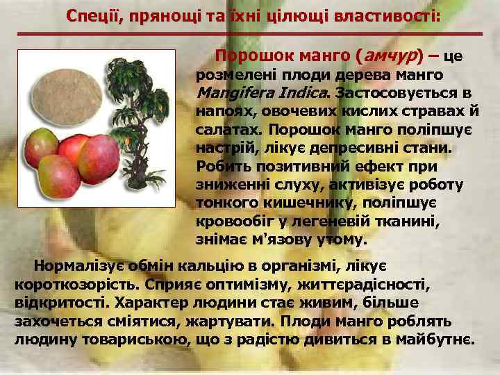 Спеції, прянощі та їхні цілющі властивості: Порошок манго (амчур) – це розмелені плоди дерева