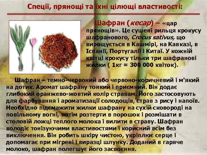 Спеції, прянощі та їхні цілющі властивості: Шафран (кесар) – «цар прянощів» . Це сушені