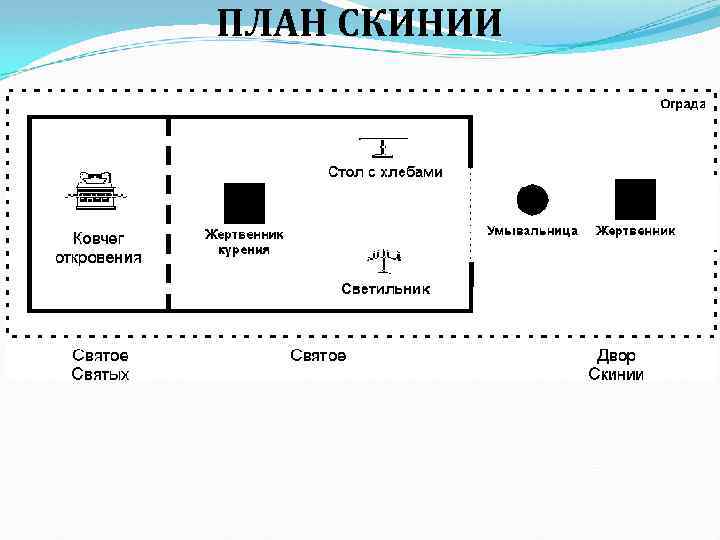 ПЛАН СКИНИИ 