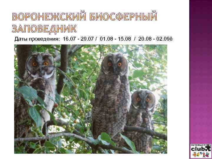 Даты проведения: 16. 07 - 29. 07 / 01. 08 - 15. 08 /