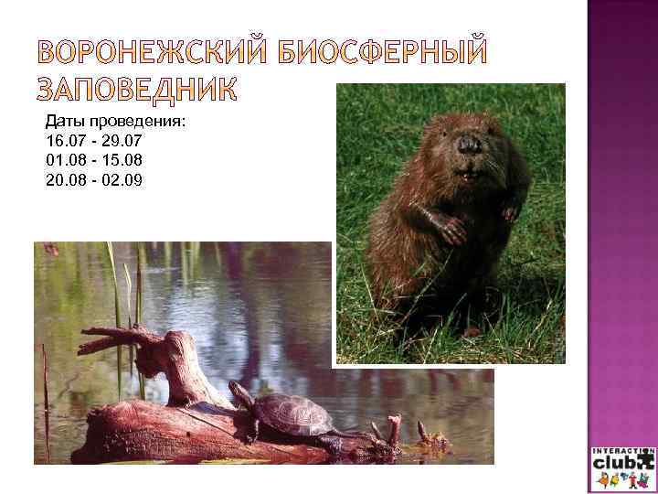 Даты проведения: 16. 07 - 29. 07 01. 08 - 15. 08 20. 08