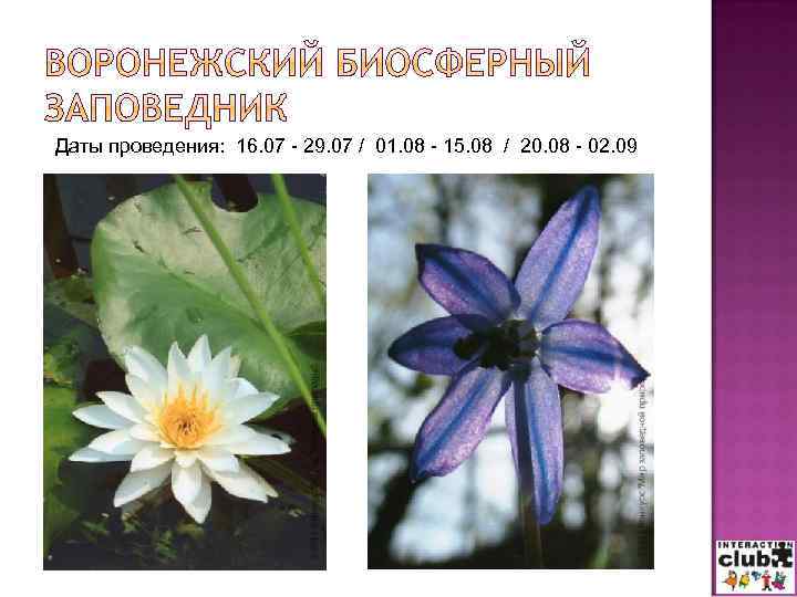 Даты проведения: 16. 07 - 29. 07 / 01. 08 - 15. 08 /
