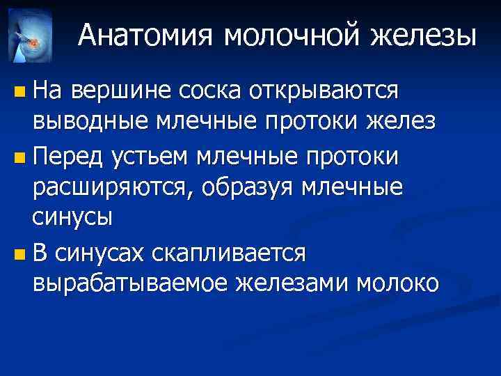 Анатомия молочной железы n На вершине соска открываются выводные млечные протоки желез n Перед