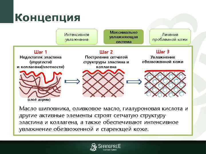 Концепция Интенсивное увлажнение Шаг 1 Недостаток эластина (упругости) и коллагена(плотности) Максимально увлажняющая система Шаг