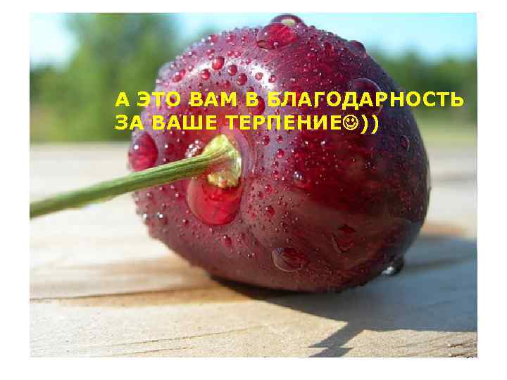 А ЭТО ВАМ В БЛАГОДАРНОСТЬ ЗА ВАШЕ ТЕРПЕНИЕ )) 57 
