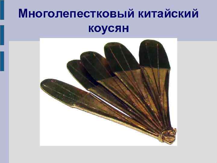 Многолепестковый китайский коусян 