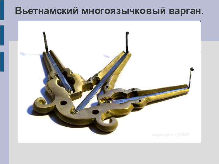 Вьетнамский многоязычковый варган. 