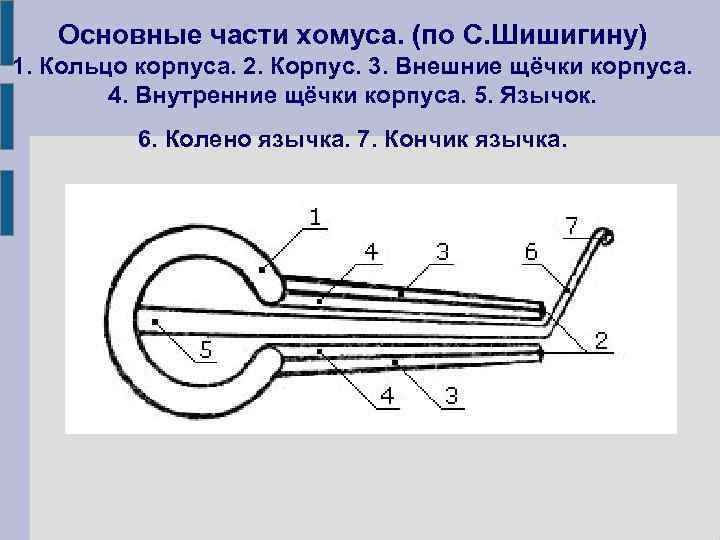 Основные части хомуса. (по С. Шишигину) 1. Кольцо корпуса. 2. Корпус. 3. Внешние щёчки