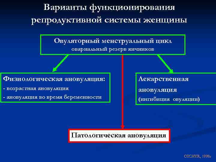 Варианты функционирования репродуктивной системы женщины Овуляторный менструальный цикл овариальный резерв яичников Физиологическая ановуляция: -