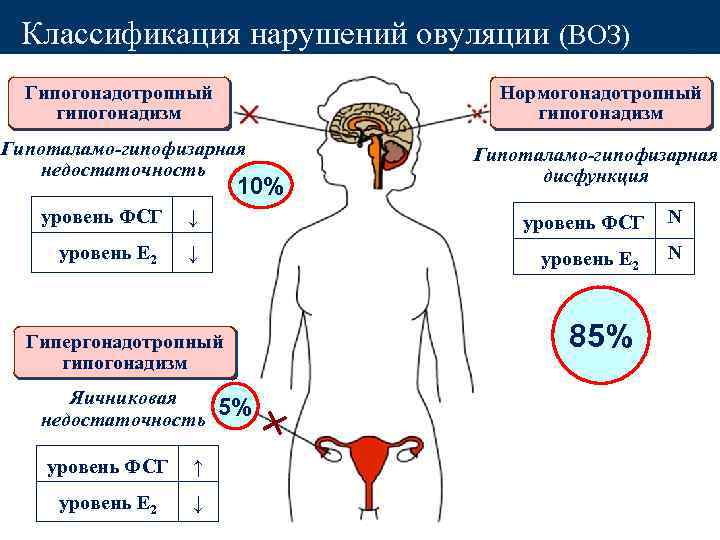 Классификация нарушений овуляции (ВОЗ) Гипогонадотропный гипогонадизм Нормогонадотропный гипогонадизм Гипоталамо-гипофизарная недостаточность Гипоталамо-гипофизарная дисфункция 10% уровень