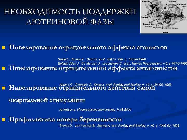 НЕОБХОДИМОСТЬ ПОДДЕРЖКИ ЛЮТЕИНОВОЙ ФАЗЫ n Нивелирование отрицательного эффекта агонистов Smith E. , Antony F.