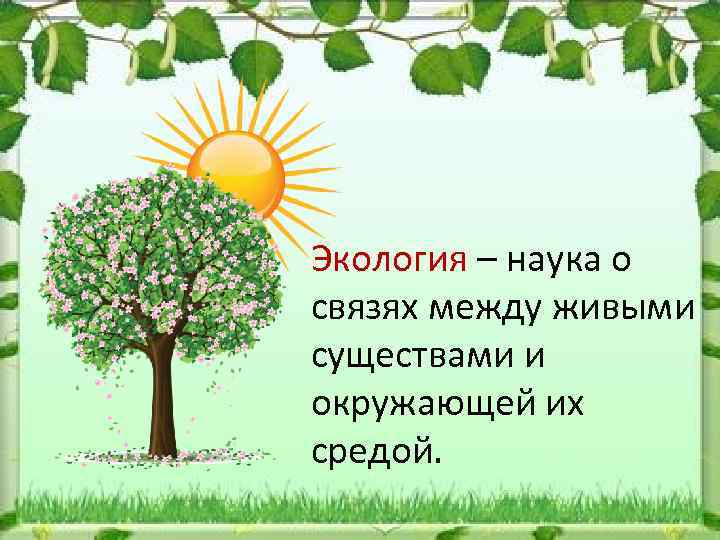 Экология – наука о связях между живыми существами и окружающей их средой. 