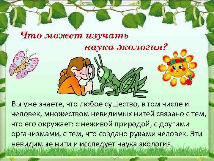 Что может изучать наука экология? Вы уже знаете, что любое существо, в том числе