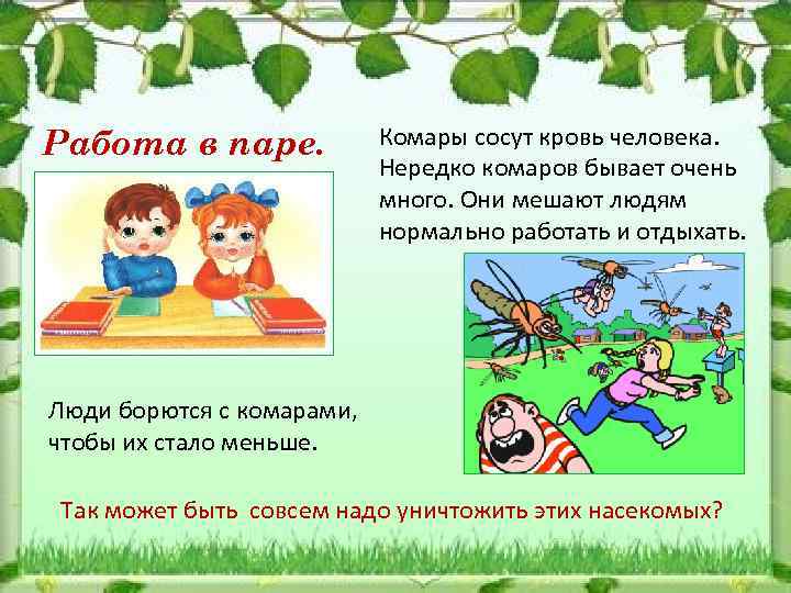 Работа в паре. Комары сосут кровь человека. Нередко комаров бывает очень много. Они мешают