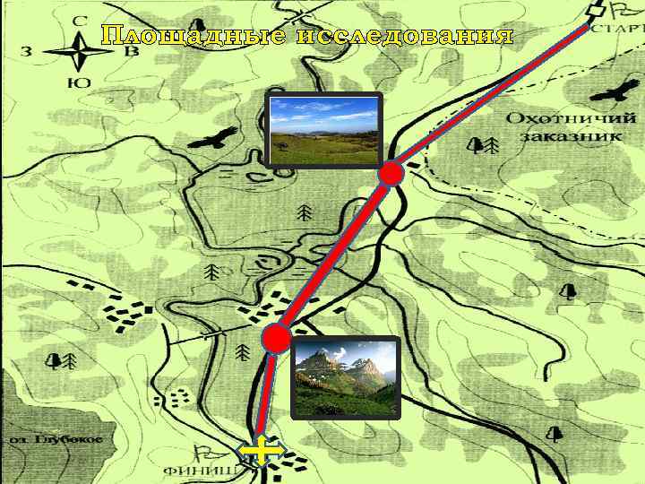 Площадные исследования 