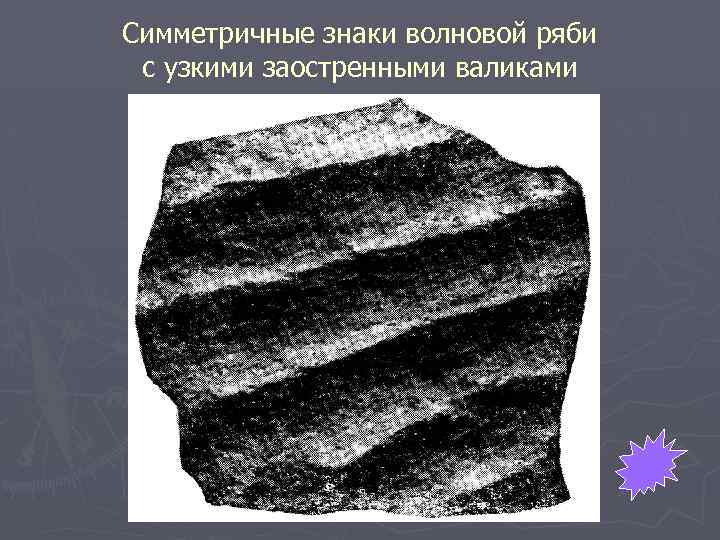 Симметричные знаки волновой ряби с узкими заостренными валиками 