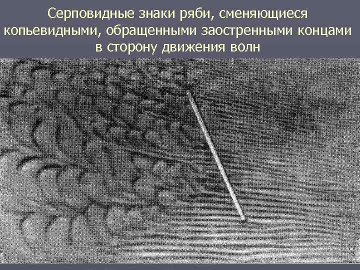 Серповидные знаки ряби, сменяющиеся копьевидными, обращенными заостренными концами в сторону движения волн 