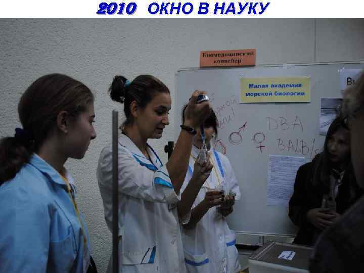 2010 ОКНО В НАУКУ 