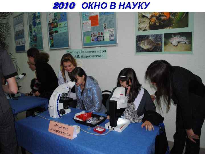 2010 ОКНО В НАУКУ 