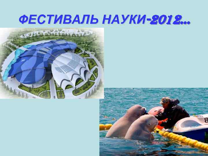 ФЕСТИВАЛЬ НАУКИ-2012… 
