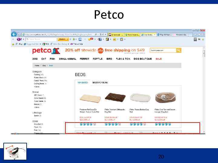 Petco 20 