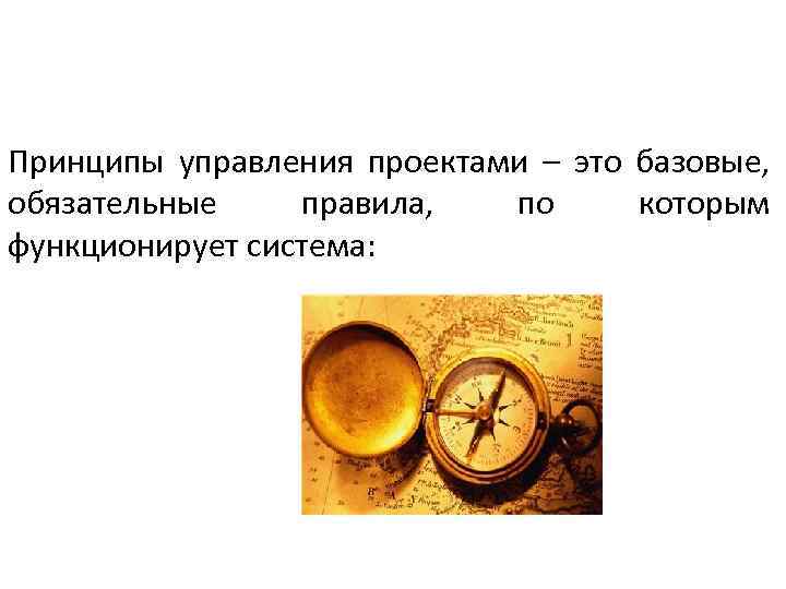 Принципы управления проектами – это базовые, обязательные правила, по которым функционирует система: 