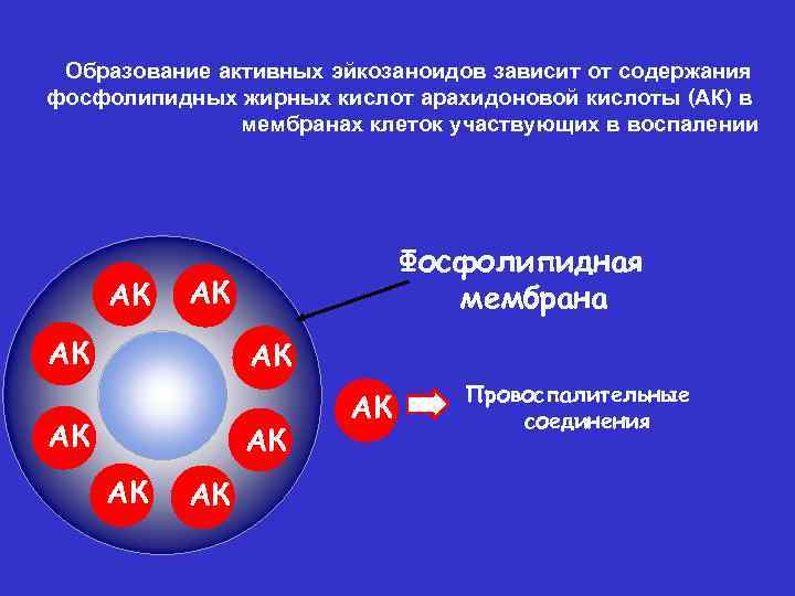 Образование активных эйкозаноидов зависит от содержания фосфолипидных жирных кислот арахидоновой кислоты (АК) в мембранах