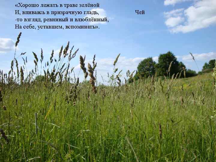  «Хорошо лежать в траве зелёной И, впиваясь в призрачную гладь, -то взгляд, ревнивый