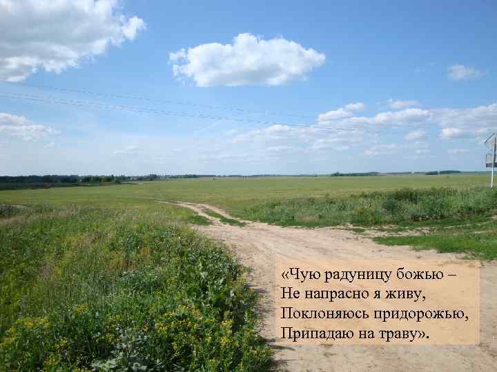  «Чую радуницу божью – Не напрасно я живу, Поклоняюсь придорожью, Припадаю на траву»